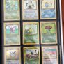 Pokemon Jungle set Image 2