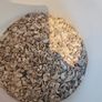 Oyster shell pieces for poultry Image 4