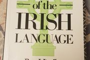 The Death Of The Irish Language by Reg Hindley