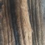 Fur coat Image 4