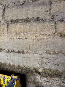 Pit silage