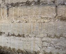 Pit silage
