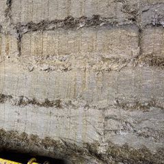 Pit silage