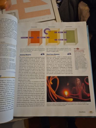 Psychology Themes and Variations Wayne Weiten