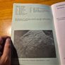 Cumbrian Prehistoric Rock Art Image 2
