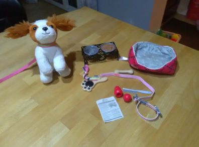 Our Generation Pet Care Accessory Set with dog
