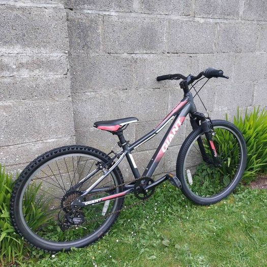 Giant XTC JR 24" wheel kids bike - kids aged 7-12 years old - Mountain bike - Fully serviced