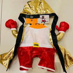 Size L Dog Halloween Costume