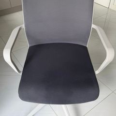 Senator Ergonomic Mesh Office Chair