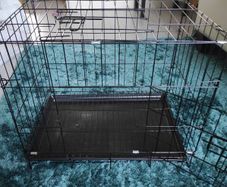pet crate
