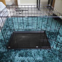 pet crate