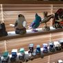 Blue tit figurine Image 8