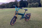 Brand New Fiido M1 Pro electric foldable bike