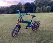 Brand New Fiido M1 Pro electric foldable bike