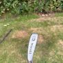 8 iron Image 2