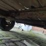 Car Trailer Image 6