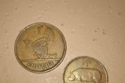 1942 Irish Coins