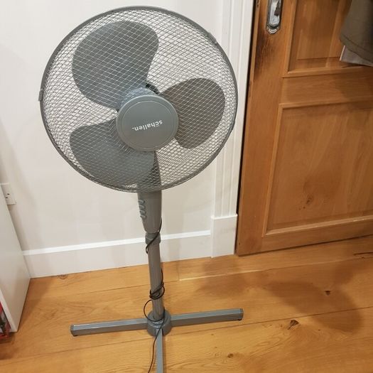 Standing Schallen
