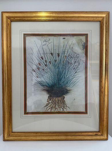 Framed Quintessa Art Print - "Sea Rush" 512 A.D. Vienna Dioscurides Manuscript