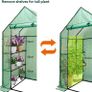 SALE Walk In Greenhouse With Shelves,Walk-In Plant Green House With Durable Green PE Cover, 3 Tiers 6 Shelves Stands with Ground Pegs & Ropes for Stability, 4.7x2.4x6.4ft Image 2