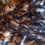 ladies top carraig donn Image 7