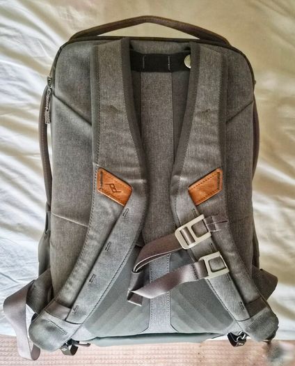 Peak Design Everyday Backpack 20L V1 (Ash Colour)