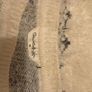 Jumpers 12/14 Image 8