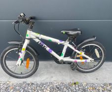 Frog Bike
