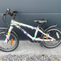 Frog Bike