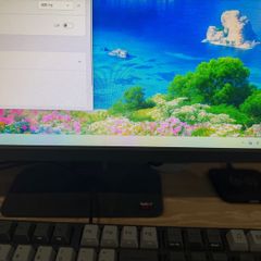 ZOWIE XL2566X+ computer monitor 62.2 cm (24.5") 1920 x 1080 pixels Full HD Black