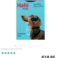 Halti headcollar licol