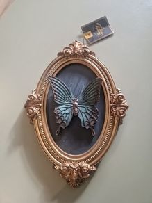 frame