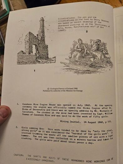The Abandoned Mines Of West Carbery. Promoters Adventurers And Miners. By D. Cowman And T.a.reilly. First Edition Large Volume Paperback In Good Condition.  See Photos For Same.