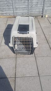 dog box