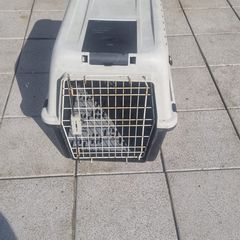 dog box