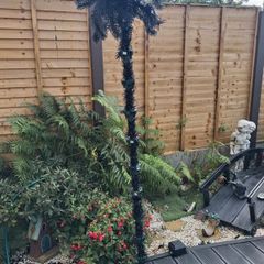 Xmas tree Black