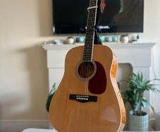 guitar with stand and bag