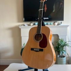 guitar with stand and bag