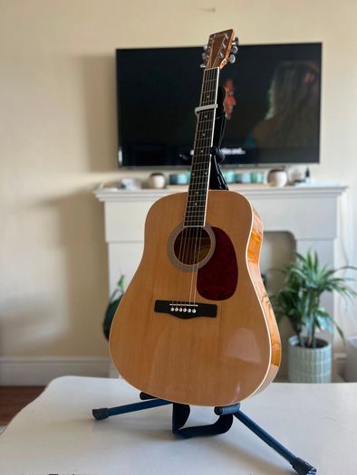 guitar with stand and bag
