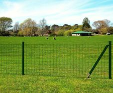 Euro Fence Steel 10x0.8 m Green