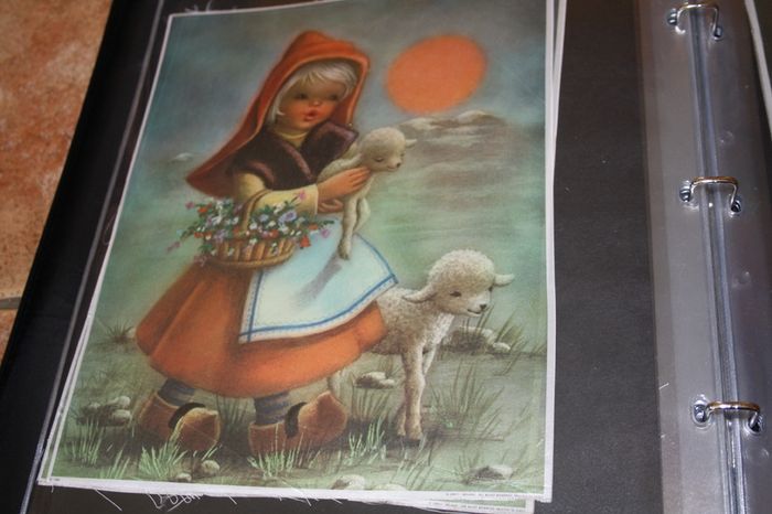 unframed silk picture