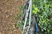 mountain bike