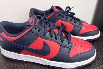 Nike Dunk Low Trainers