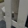 free Image 3