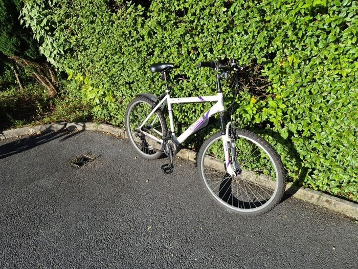 Apollo Bike