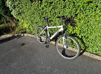 Apollo Bike