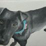 personalised pet painting Image 4