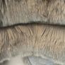 fur gilet Image 4