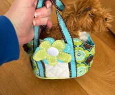 Dog stuffed animal in bag