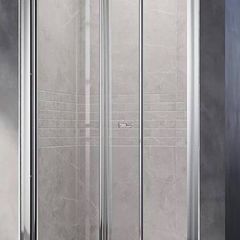 Shower door